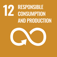 responsible consumption and production