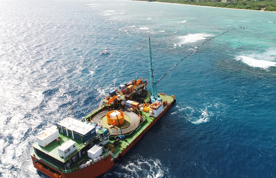 image of Survey