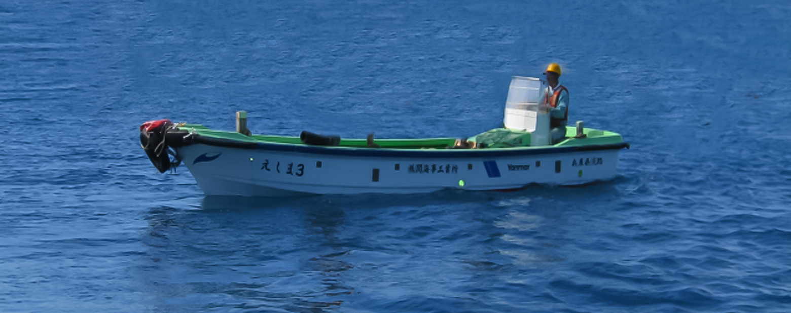 image of Eshima 3